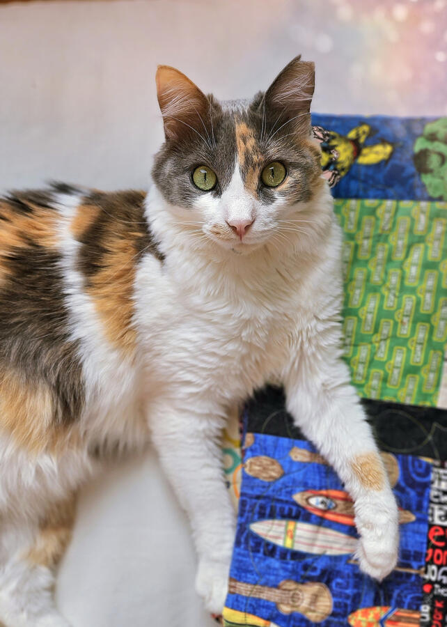 Taters (Amsterdam, NL)