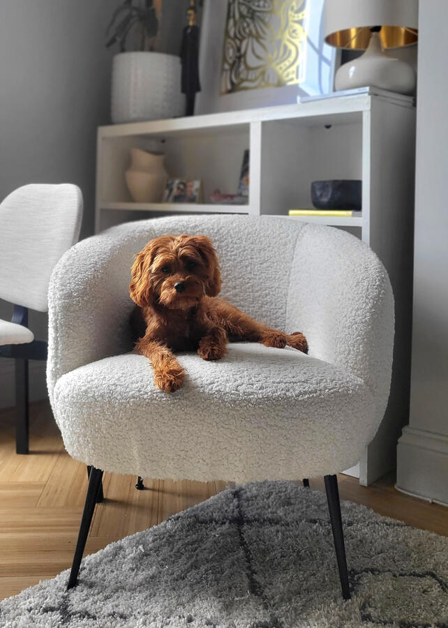 Luna (Cotswolds, England)