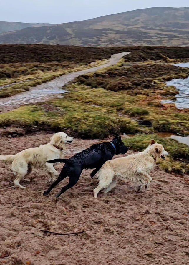 Skye, Louis & Abbie (Loch Muick, Scotland)
