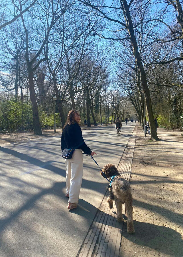 Bowie (Amsterdam. NL)