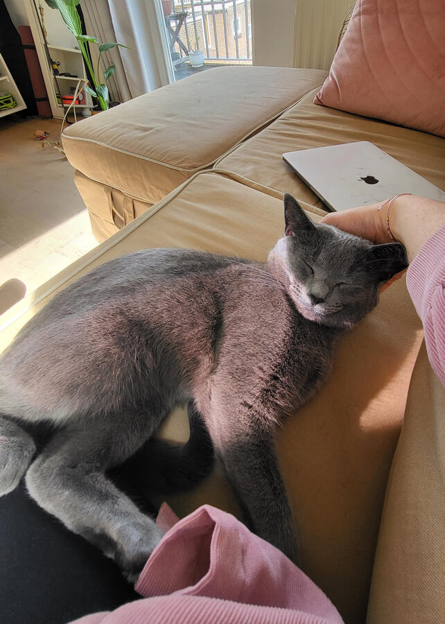 Milo (Amsterdam, NL)